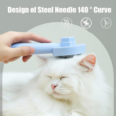 Cat Brush Fur Removal And Beauty Comb