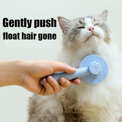 Cat Brush Fur Removal And Beauty Comb