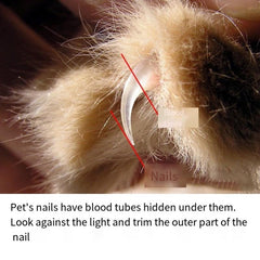 Mini Stainless Steel Pet Nail Grinder Clipper for Dogs Cats Paws Grooming