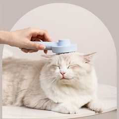 Pet Hair Removal Comb Slicker Brush for Dog and Cat Grooming