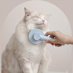 Pet Hair Removal Comb Slicker Brush for Dog and Cat Grooming
