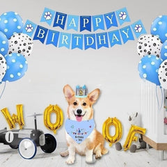 Pet Birthday Party Kit for Dogs: Hat, Bib, Bandana, Banner, Balloon