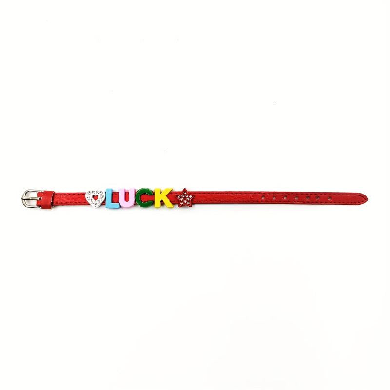 Custom Red Pet Memorial Bracelet with Colorful Letters