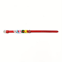 Custom Red Pet Memorial Bracelet with Colorful Letters