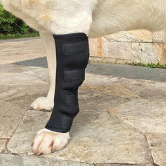 Dog Support Leg Brace Protective Elbow Knee Pad Pet Bandage