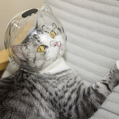 Cat Muzzle Mask Protective Cover Anti-bite Cat Space Head Cover