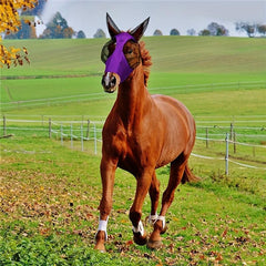 Breathable Horse Protective Mask Comfortable Cover