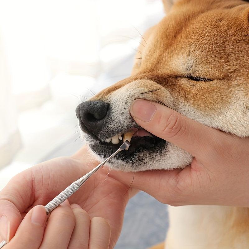 Double Headed Pets Teeth Cleaning Tool Stainless Steel