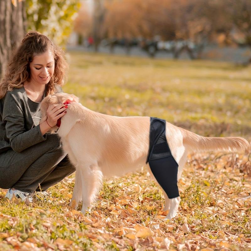 Adjustable Dog Knee Protector Protective Sleeve High Elasticity Leg Joint Brace