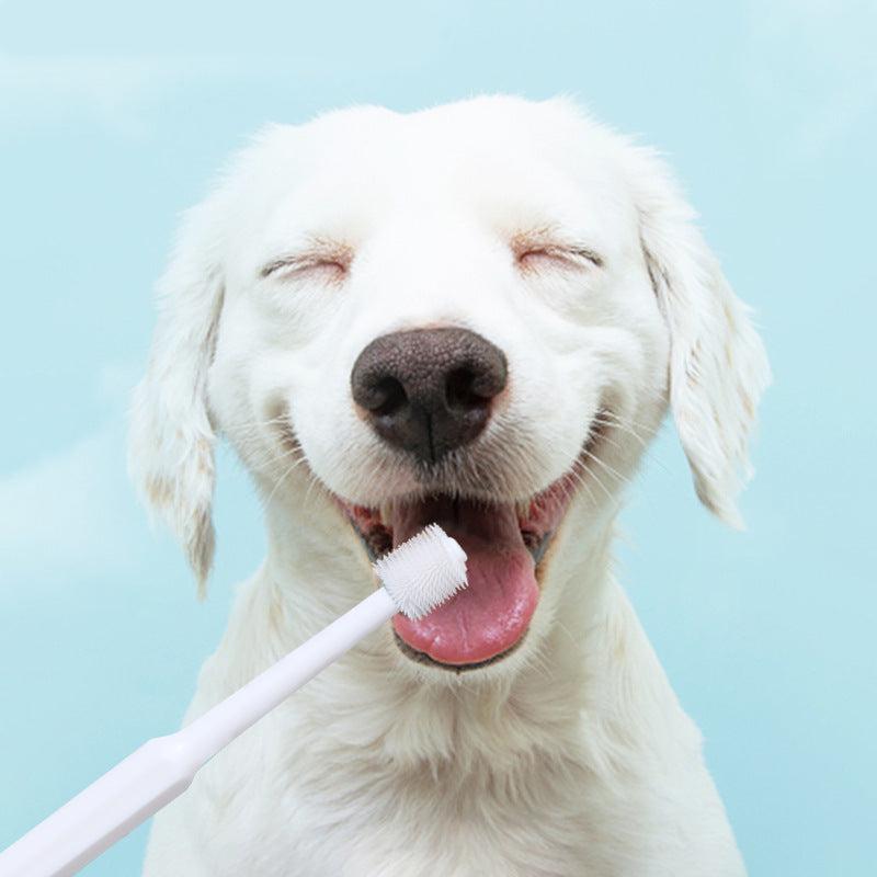 360 Degree Pet Toothbrush for Tartar Removal