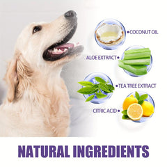 Pet Dental Wipes for Teeth Cleaning, 50pcs Box