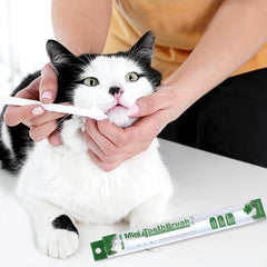 2pcs Solid Dog Toothbrush for Dental Care