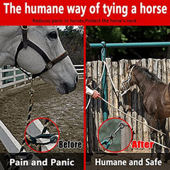 Durable Horse Tie Ring - Essential Tack for Secure Ties