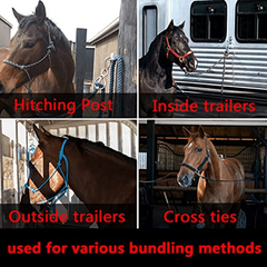 Durable Horse Tie Ring - Essential Tack for Secure Ties