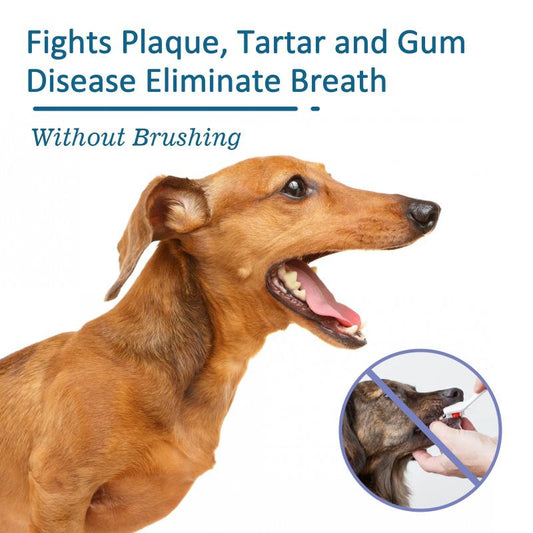 Pet Mouth Cleaning Spray For Dogs And Cats - Tartar & Bad Breath Remover