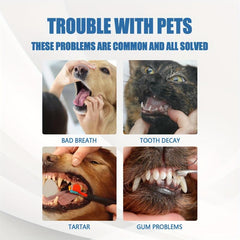 Pet Tartar Remover Foam for Yellow Teeth 60ml