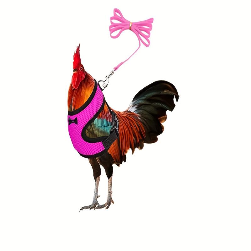 Breathable Chicken Chest Harness With Leash Adjustable Comfortable Strap