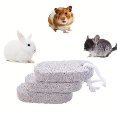 Natural Minerals for Small Pets Dental Health