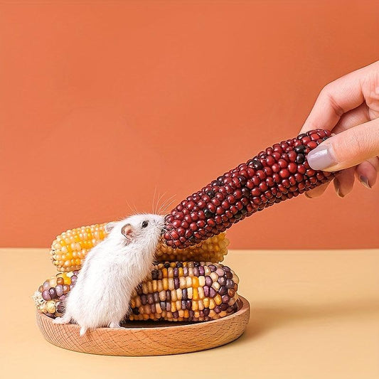 Hamster Teeth Grinding Corn Stick Small Pet Chewing Snack