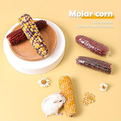 Hamster Teeth Grinding Corn Stick Small Pet Chewing Snack