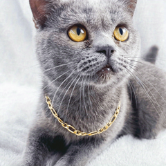 Cat Necklace Aluminum Style Pet Necklace Kitten Decoration Accessories