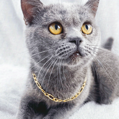 Cat Necklace Aluminum Style Pet Necklace Kitten Decoration Accessories