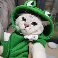 Cozy Frog Hoodie for Small and Medium Dogs