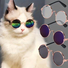 Cool Pet Sunglasses for Dog & Cat for Outdoor Fun