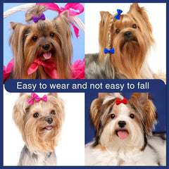 10pcs Colorful Dog Hair Bow Clips for Daily Wear Pet Bow knot Hair Accessories