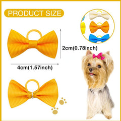 10pcs Colorful Dog Hair Bow Clips for Daily Wear Pet Bow knot Hair Accessories