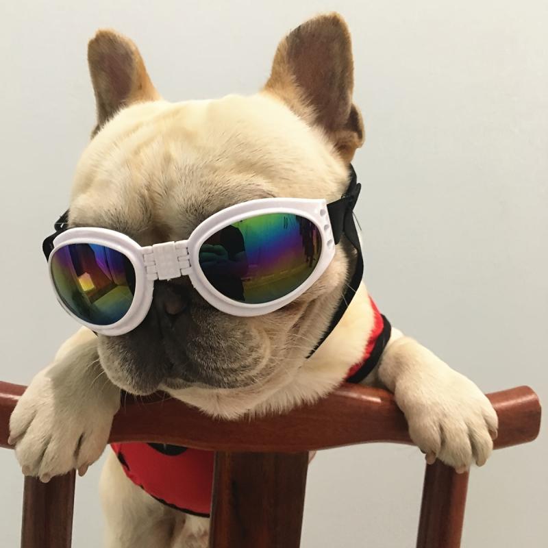 UV Protection Dog Sunglasses with Adjustable Head Strap