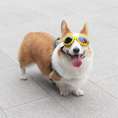 UV Protection Dog Sunglasses with Adjustable Head Strap