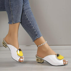 Women's Chunky Heel Sandals Outdoor Quick Dry Peep Toe Stylish Sandals
