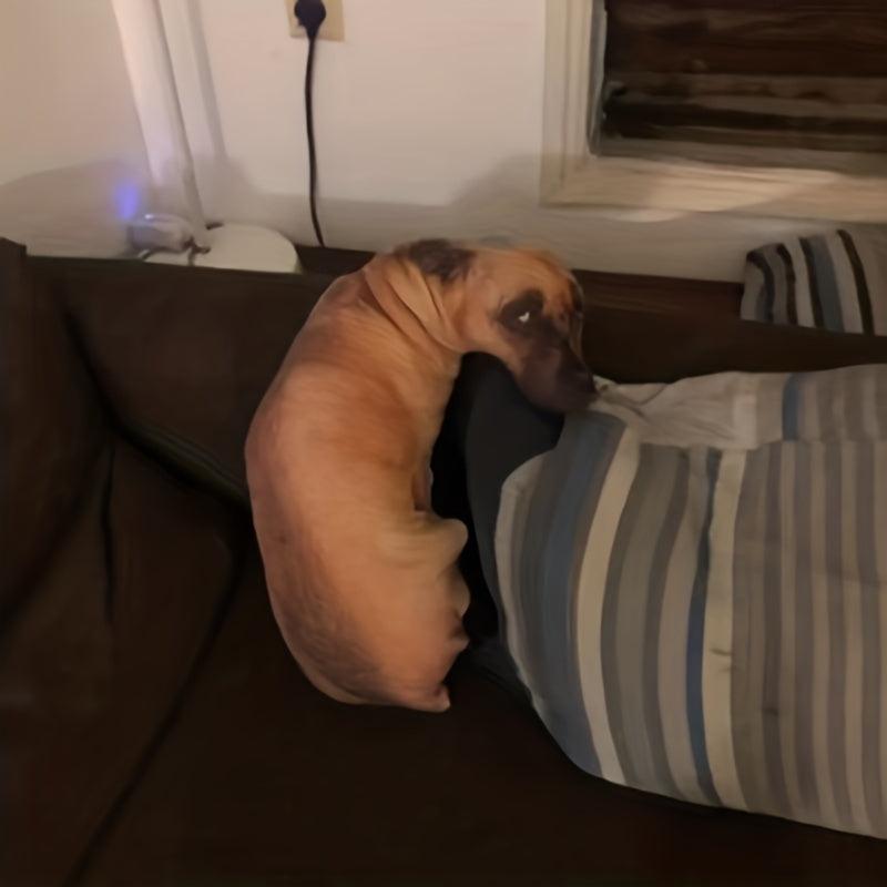 3D Simulation Dog Pillow Plush Toy Dog Doll Funny Plush Doll Pillow