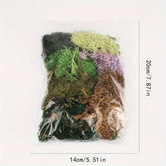 Forest Green Reindeer Moss Lichen 50g 1.76oz for Fairy Tale Garden