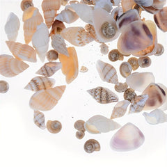 40pcs Mini Conch Shell Beach Hut DIY Accessories