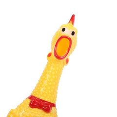 Medium Chicken Toy for Fun