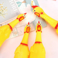 Medium Chicken Toy for Fun