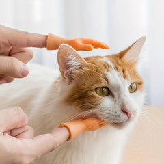 Funny Little Fingers Petting Gloves for Cats and Dogs