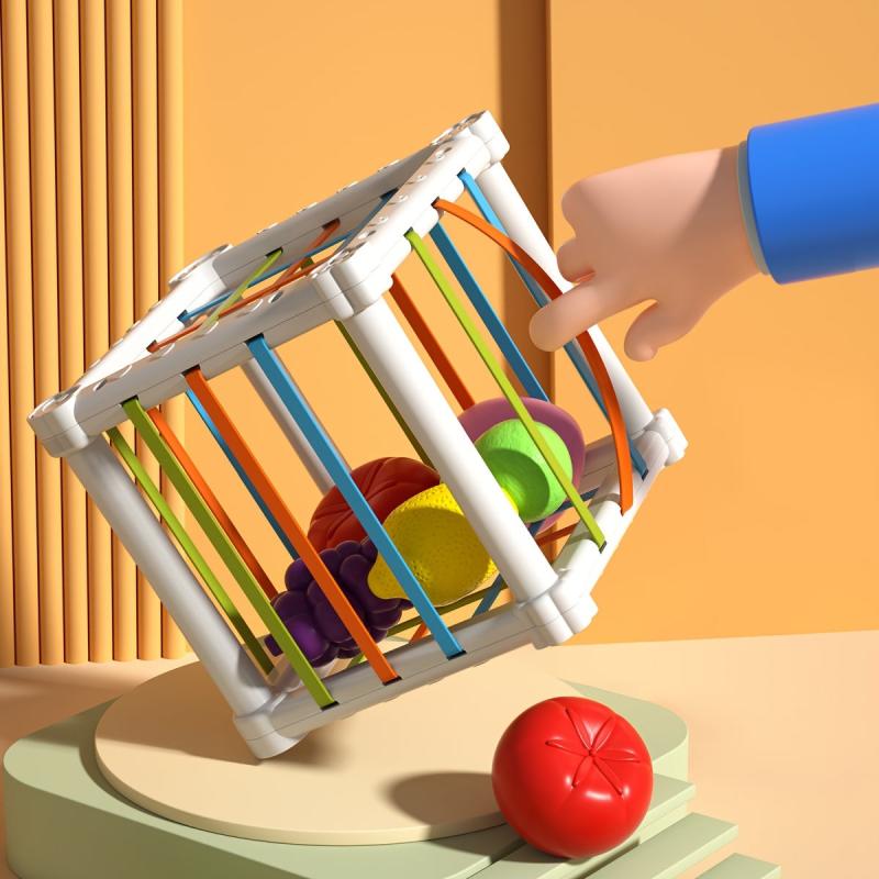 Montessori Colorful Cube & 6 Fruit Shapes Learning Toys