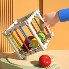 Montessori Colorful Cube & 6 Fruit Shapes Learning Toys
