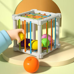 Montessori Colorful Cube & 6 Fruit Shapes Learning Toys
