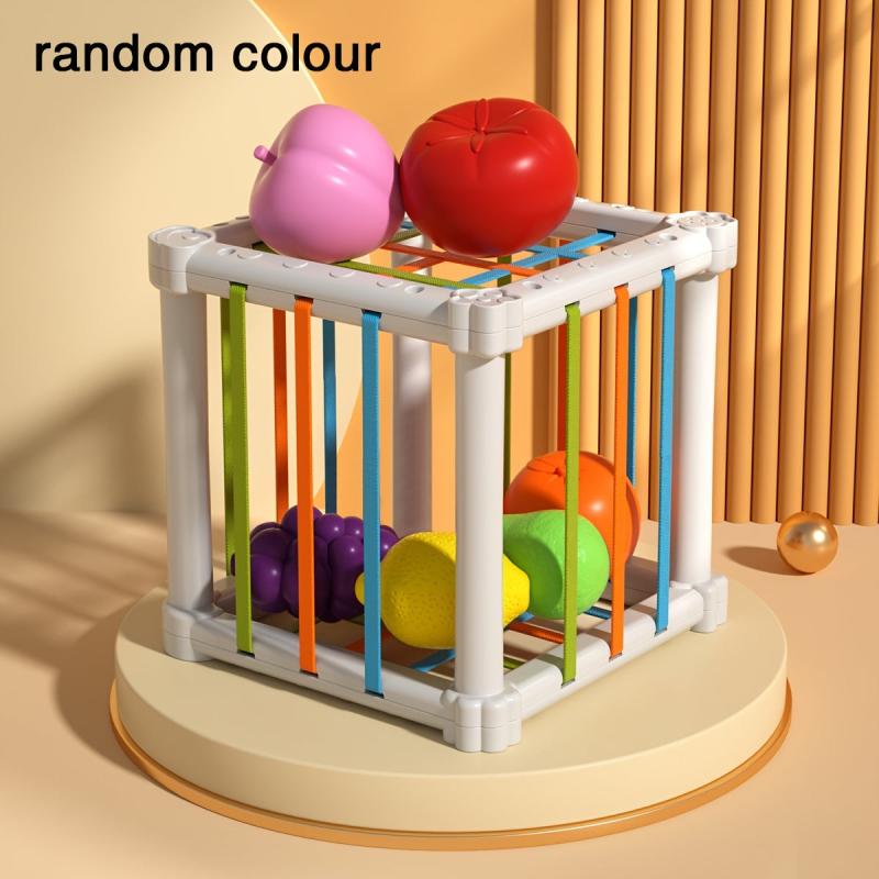 Montessori Colorful Cube & 6 Fruit Shapes Learning Toys