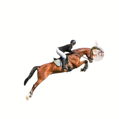 Horse Riding Enthusiasts Car Backpack Christmas Tree Decoration Pendant