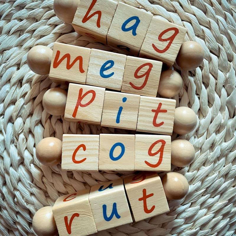Alphabet Spelling Blocks Montessori Sorting Toy