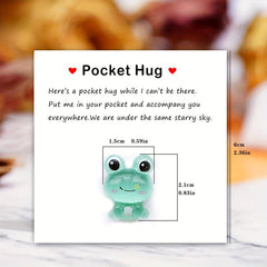 Pocket Hug Resin Animal Decoration with Encouraging Greeting Card