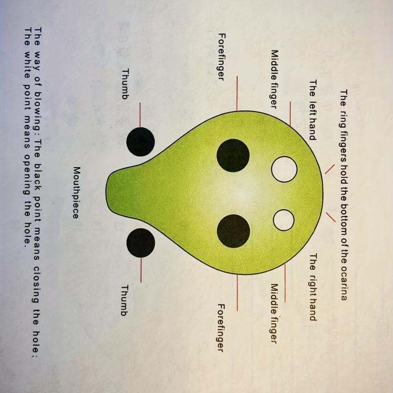 Zodiac Rabbit Cartoon Ocarina for Kids - Handmade 6 Hole AC Flute