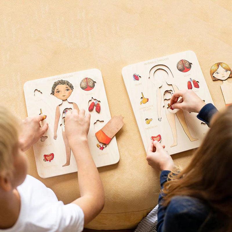 Montessori Human Body Puzzle Toys For Kids Girls Boys Preschool
