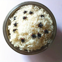 Realistic Fly Trick or Treat Toys Scary Disgusting Decoration Props