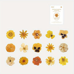 45pcs Plants and Flowers Washi Stickers Decorative DIY Material Collage Supplies